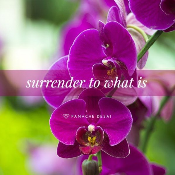 Surrender to...